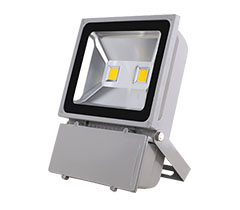 10W-100W LED^(gun)